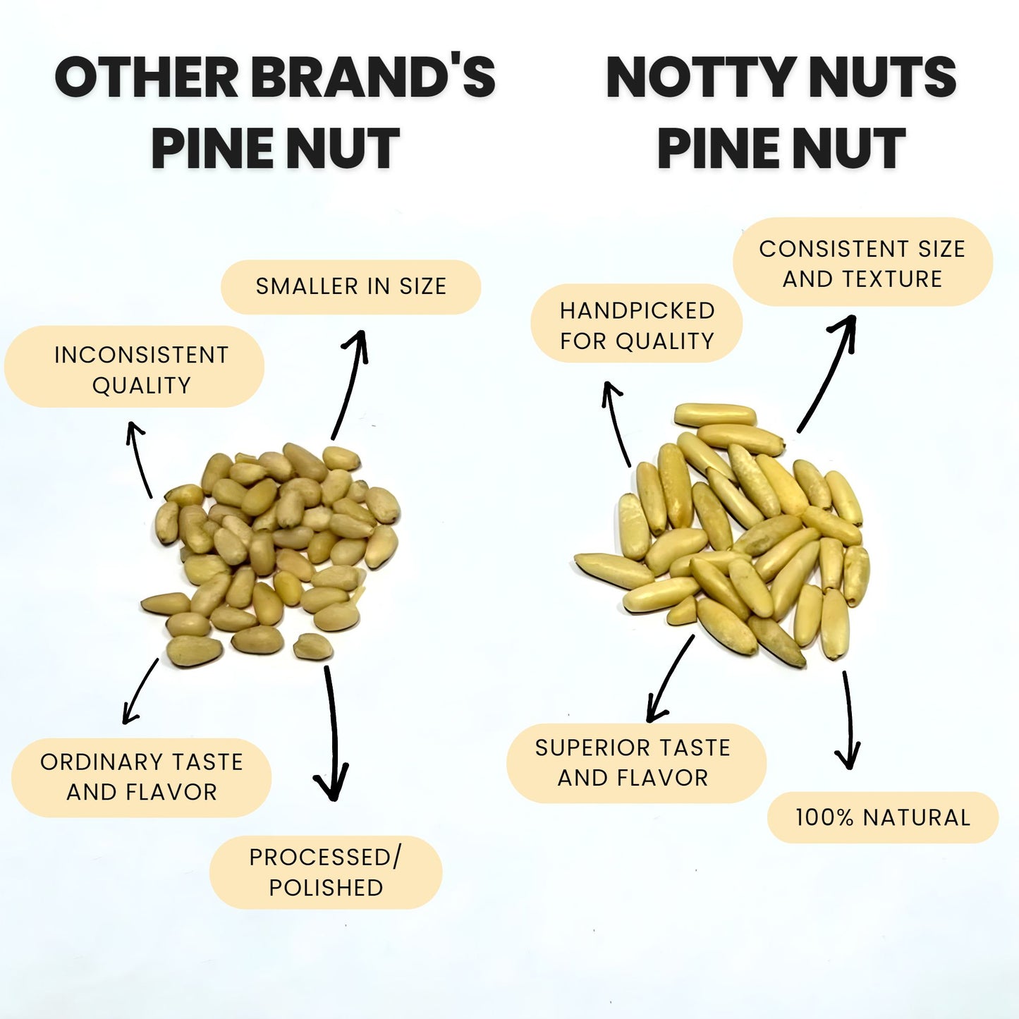 Pine Nuts