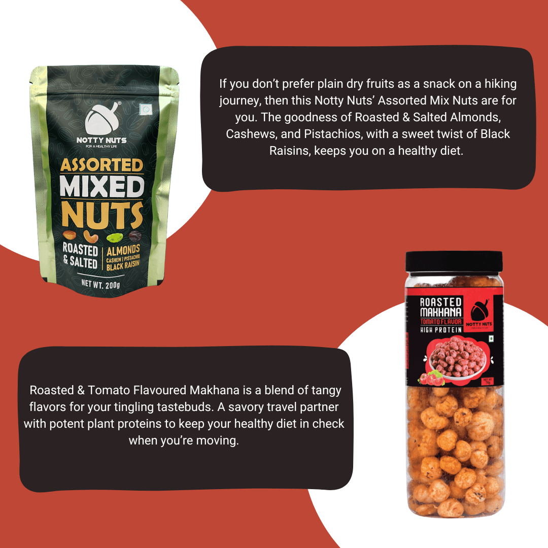 Wholesome Travel Pack - nottynutsindia