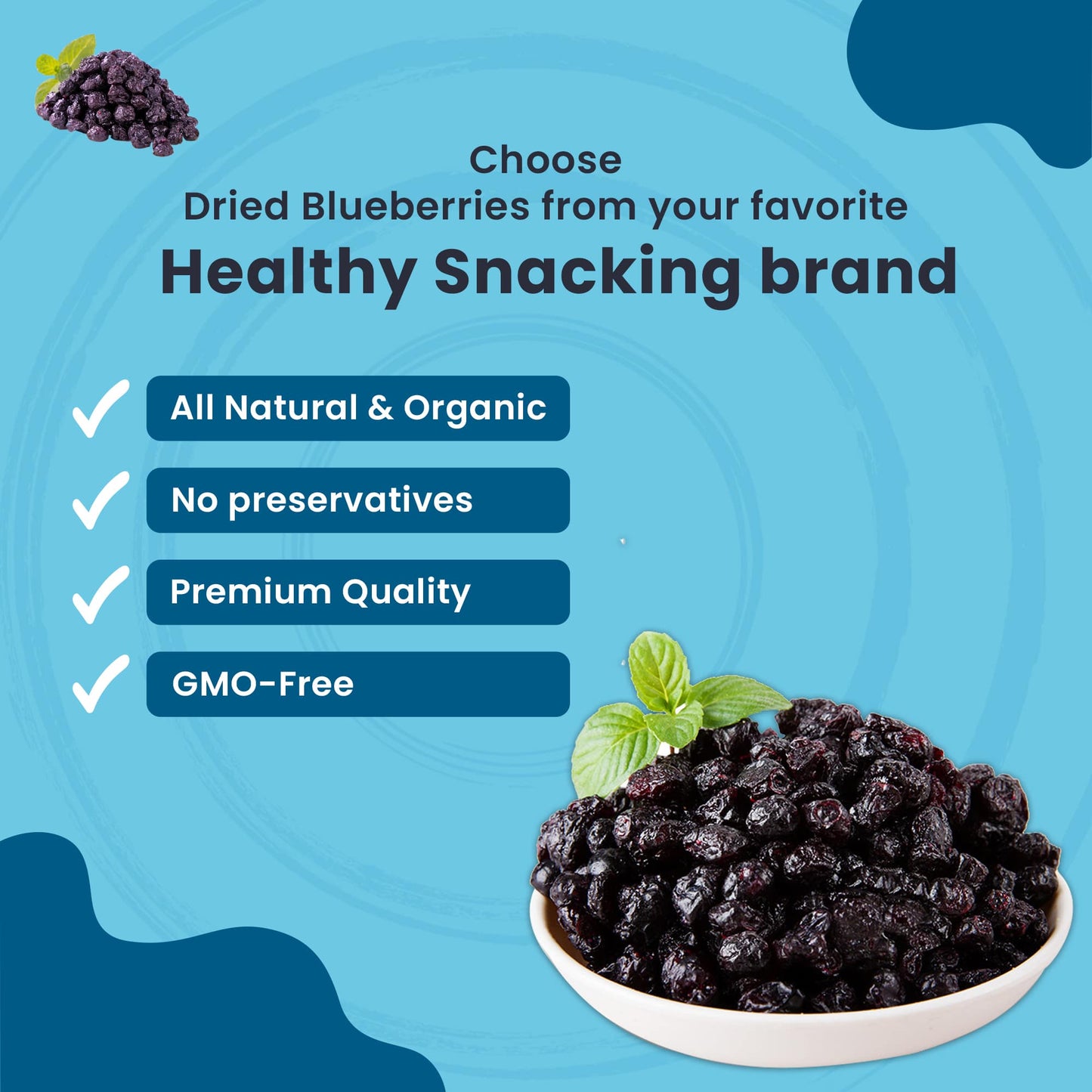 Dried Blueberry