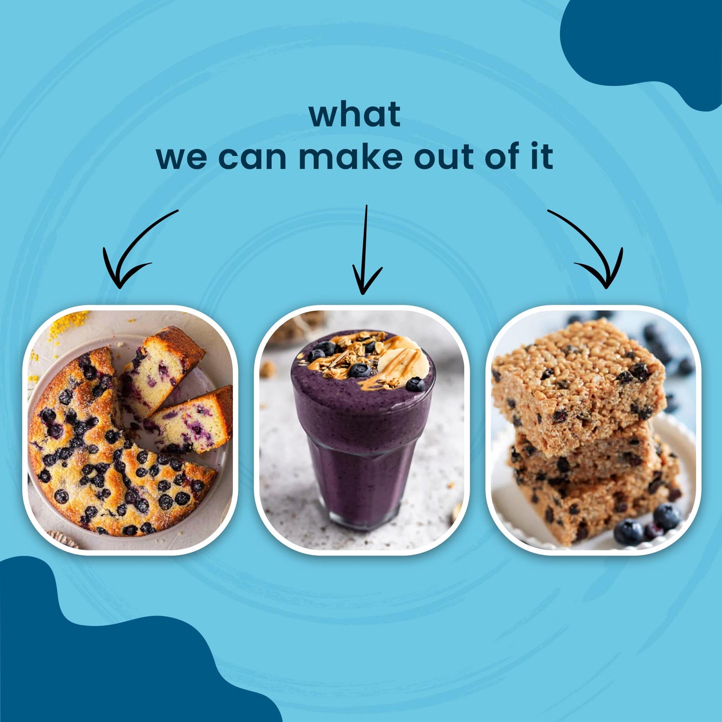 Dried Blueberry