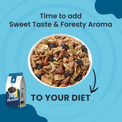 Dried Blueberry