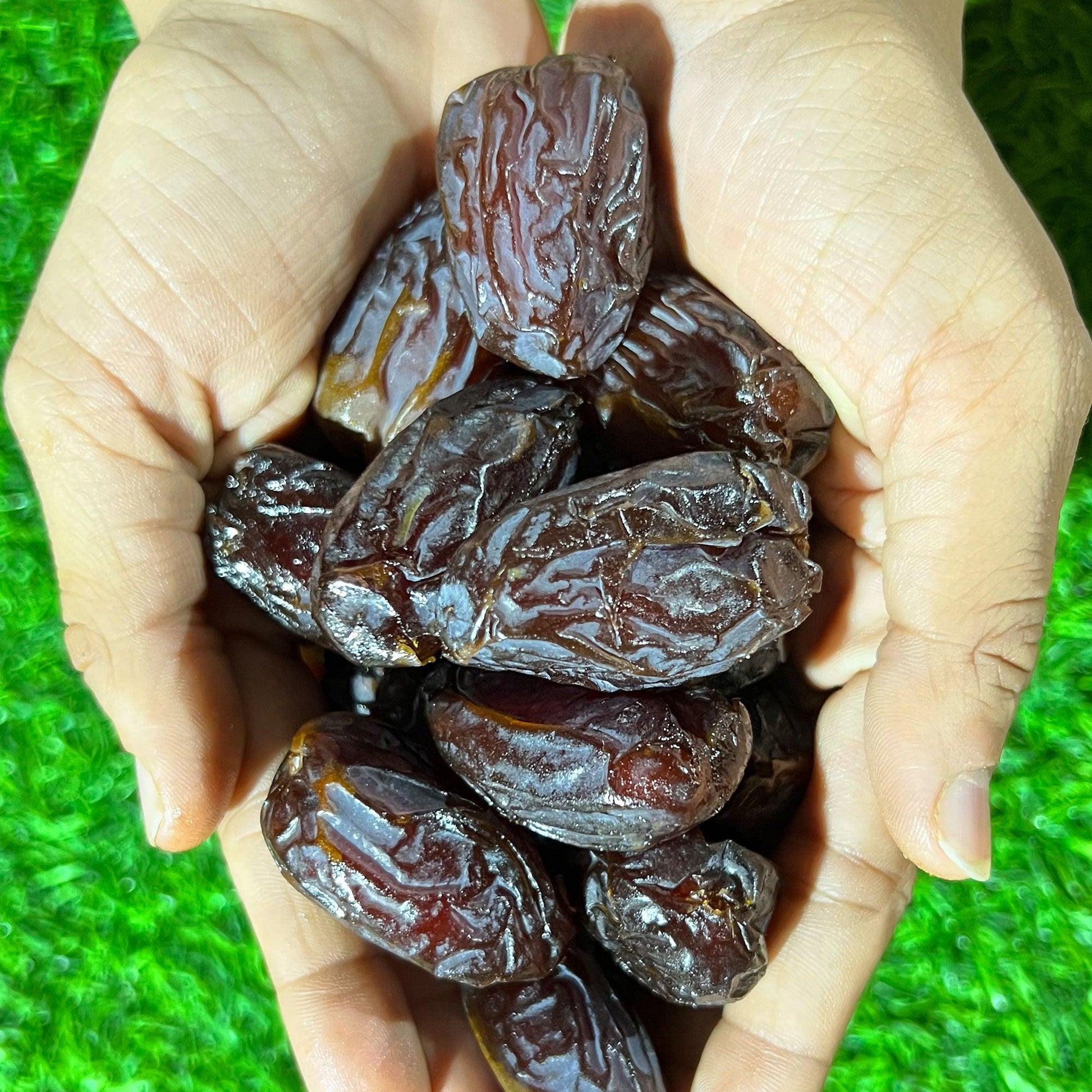 Medjoul Dates - nottynutsindia